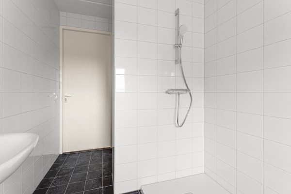 33-Moerasorchidee 29 - Lelystad.JPG